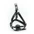 HEAD HARNESS WITH BREATHABLE GAG