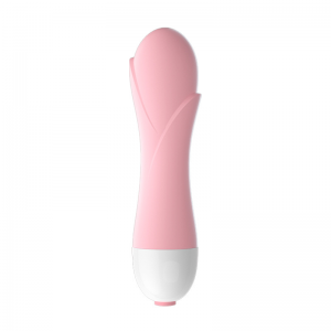 VIBRATOR