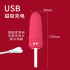 10Function vibrator